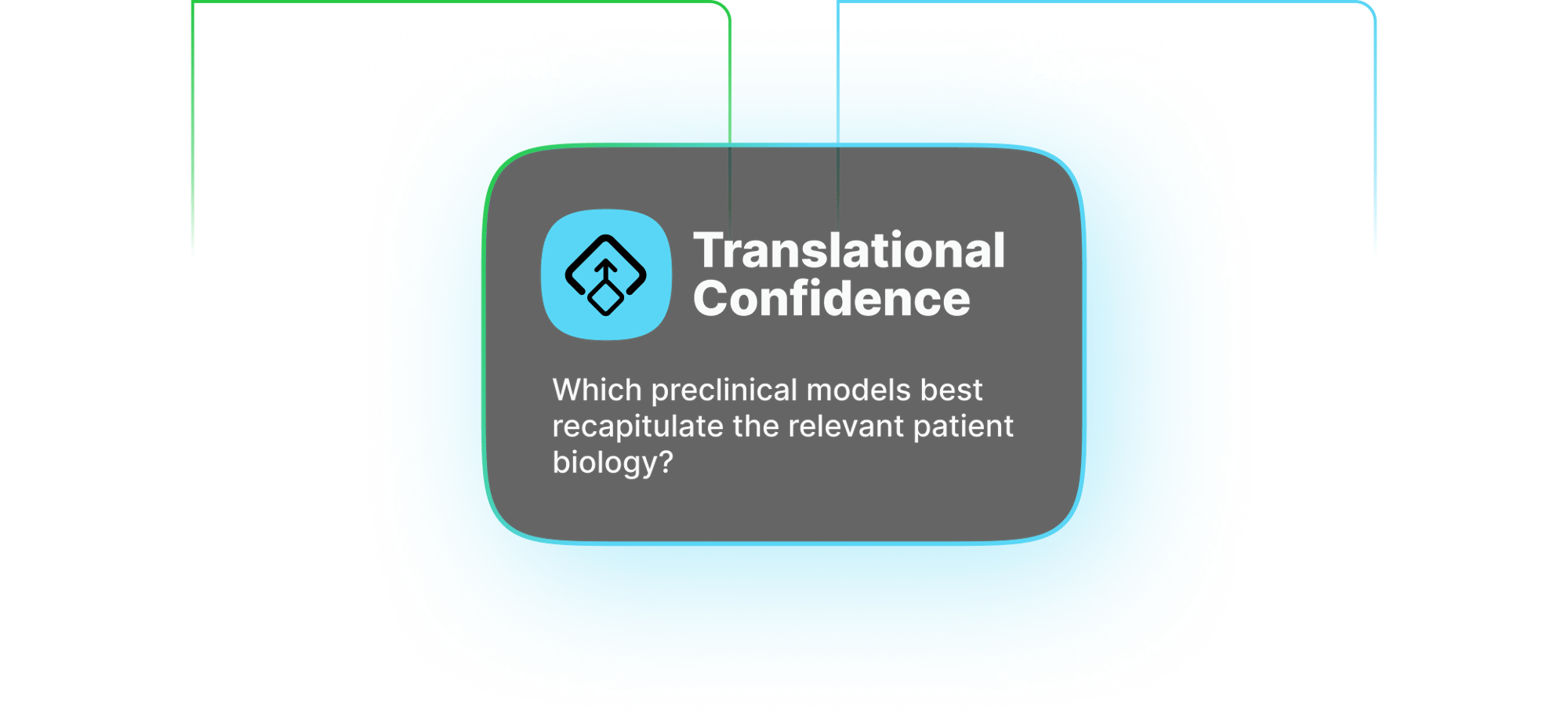 Translational Confidence - 2 phases